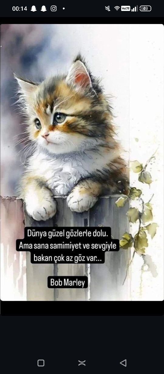 Kedim olsa gerçekten daha mutlu olur muyum, her şey yoluna girer mi?