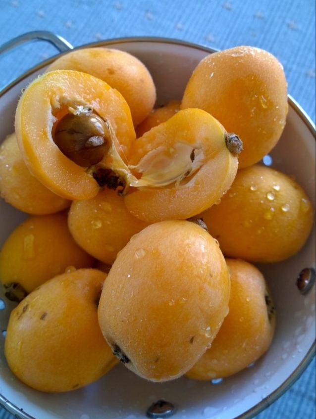 Yeni dünya meyvesi yerken büyük çekirdeğini yanlışlıkla yuttum bor şey olur mu acaba ya?