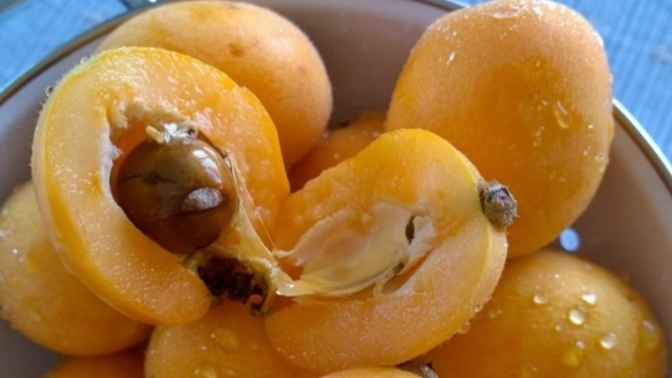 Yeni dünya meyvesi yerken büyük çekirdeğini yanlışlıkla yuttum bor şey olur mu acaba ya?