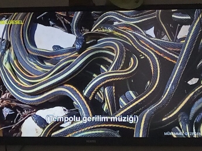 Bunlari nasıl çekiyorlar laaa?