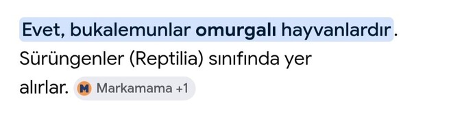 Aldatmanın bahanesi olur mu?