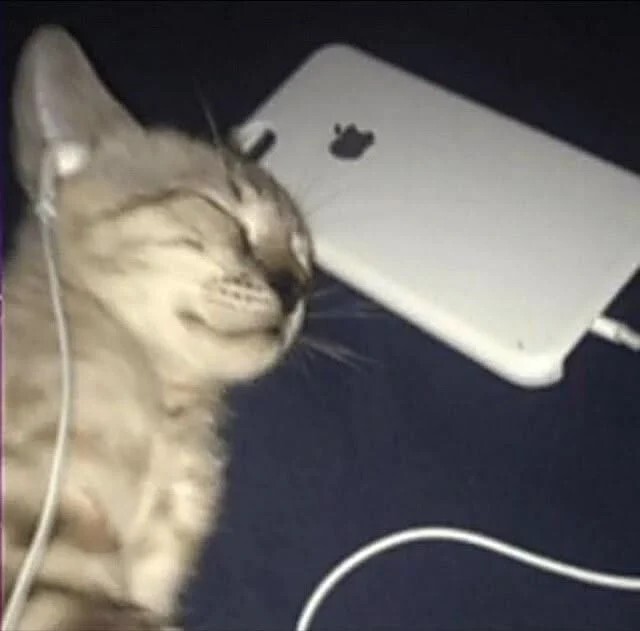 Gerçekten nasıl uyanırsan günün öyle mi geçer, ters kalkınca her şey ters mi gider?