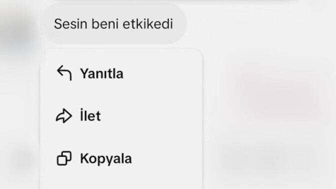 Anlamını yitiren kelimeler size de komik geliyor mu?