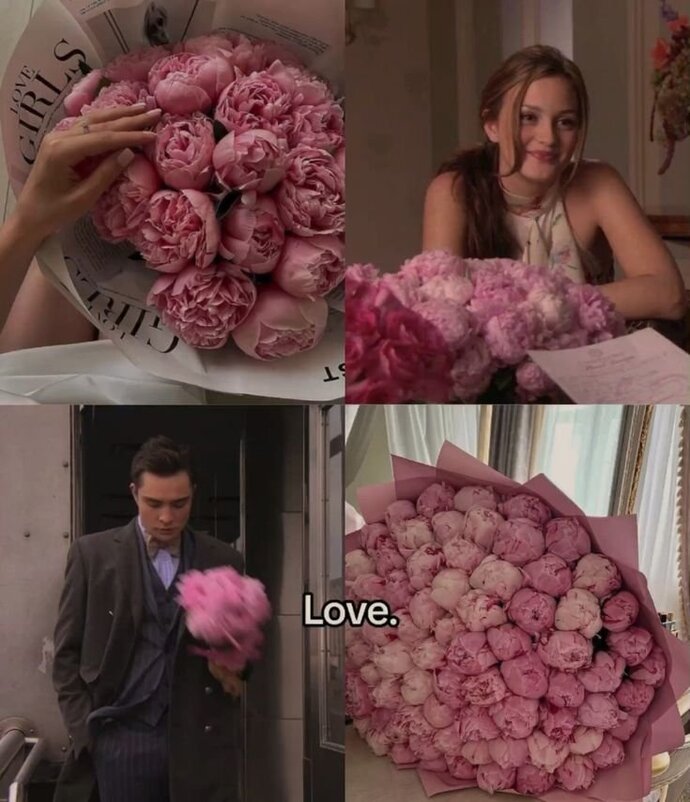 🌸🌸🌸