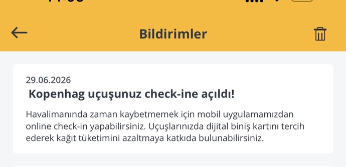 Yurt dışına kiminle gidilir?