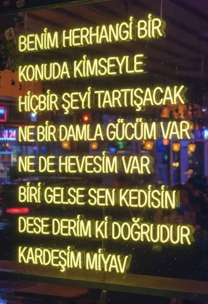Kriz anlarını yönetmekte gerçekten ne kadar başarılısınız, kendinizi nasıl görüyorsunuz?