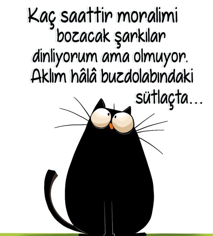 Aklın şu an nerede?