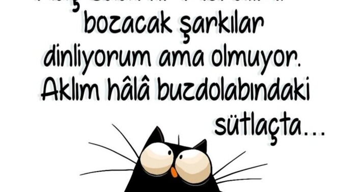 Aklın şu an nerede?