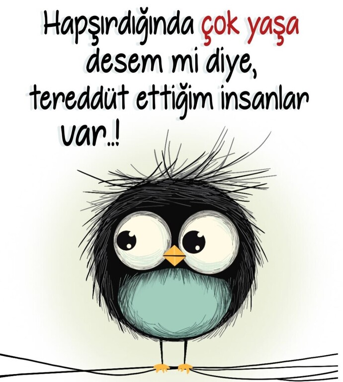 Hapşırdığında géber demek istediklerin var mı?