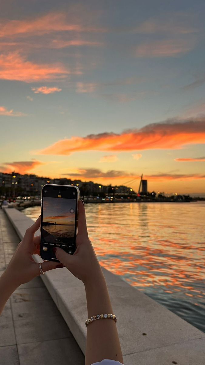 🌅🕊️