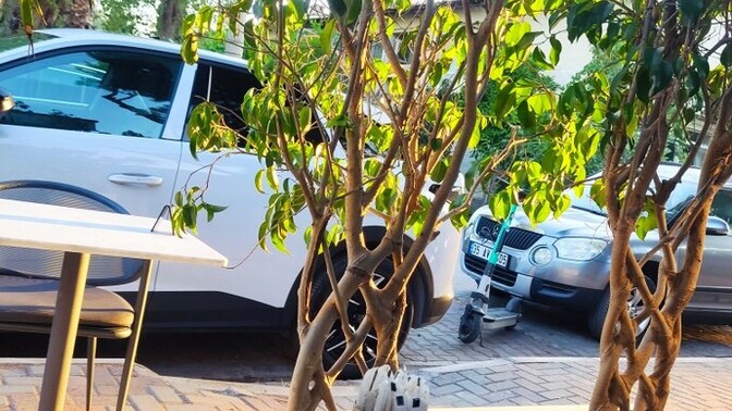 Hayatınızda yeni ay gelirken güzel değişiklikler yaşanıyor mu?