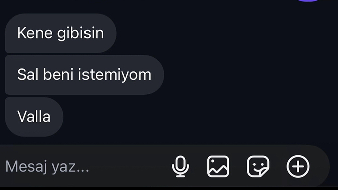 Sevdiğiniz biri size böyle dese üzülür müydünüz?