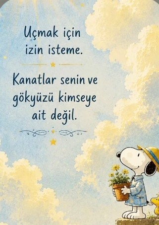 Normal sandıklarınız gerçekten normal mi?