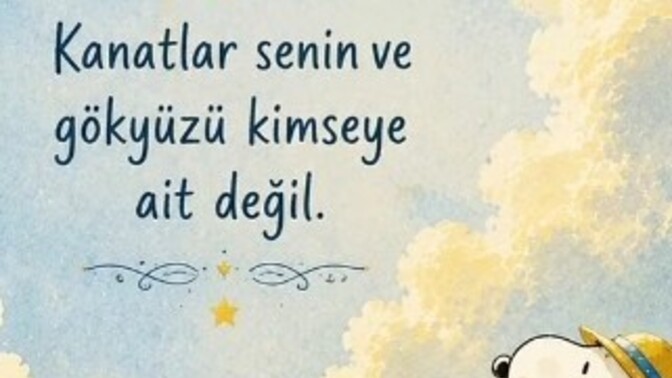 Normal sandıklarınız gerçekten normal mi?