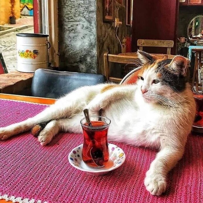 Yeme içme
