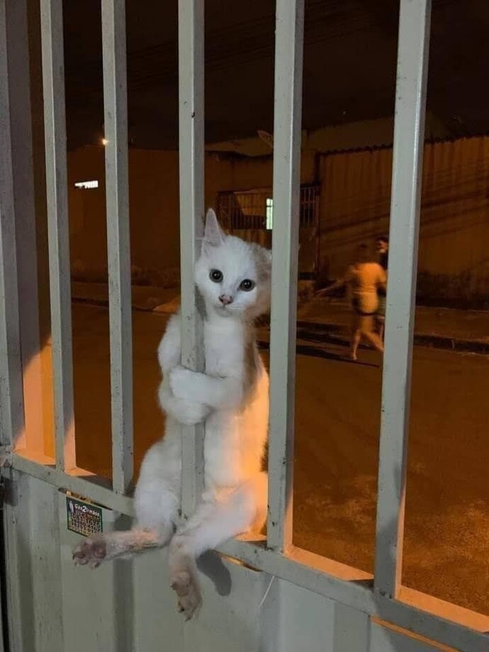 Evlenince nerede yaşamayı düşünüyorsunuz?