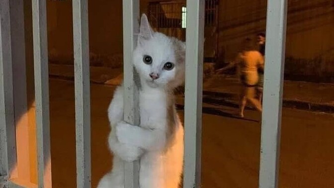 Evlenince nerede yaşamayı düşünüyorsunuz?