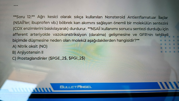 Ben Güneşleniyorum siz napiyorsunuz?
