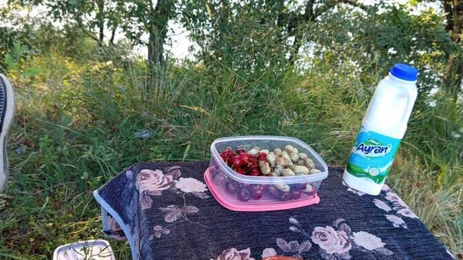 Piknik sever misin?