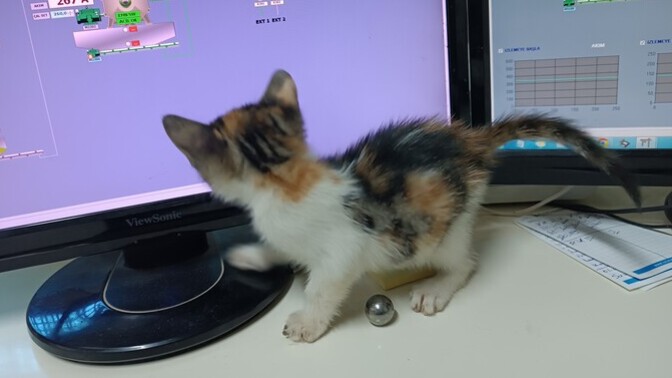 Soruyu gördüğünde sana ne veya kim eşlik ediyor?