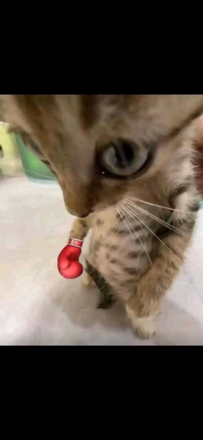 Siz kızlar neden benden çok nefret ediyorsunuz?