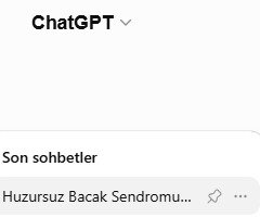 Chatgbt ye en son sorduğunuz soru neydi?