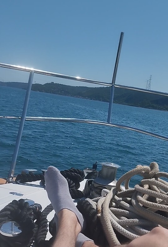 Siz bu yaz ayı yanıyor musunuz yoksa serinliyor musunuz?