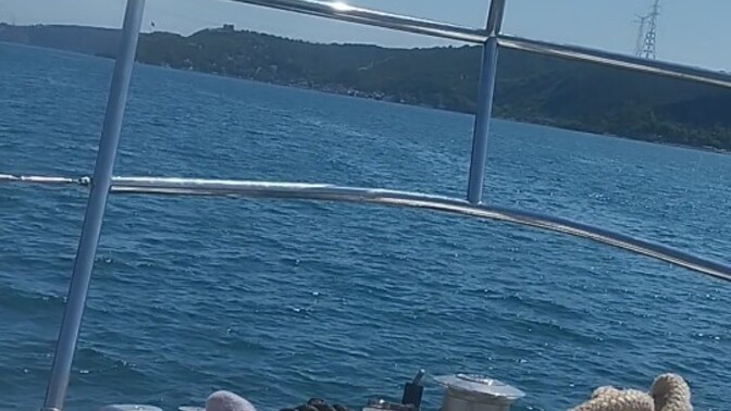Siz bu yaz ayı yanıyor musunuz yoksa serinliyor musunuz?