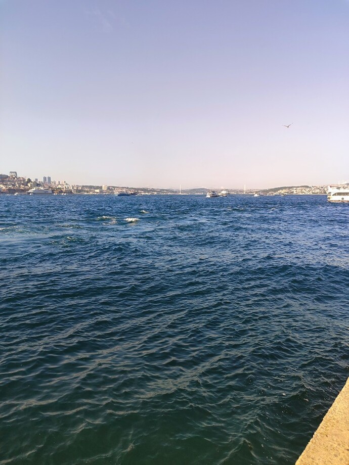 Kimler İstanbulda yaşıyor?