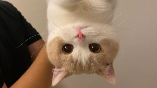 Profil fotoğrafınızda neden yüzünüz yok?