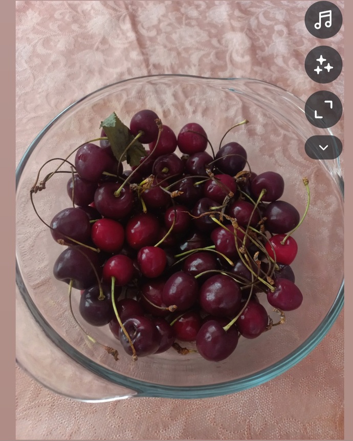 Kiraz sever misin, siteden kiminle kiraz toplarsın🍒🤣?