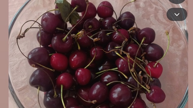 Kiraz sever misin, siteden kiminle kiraz toplarsın🍒🤣?
