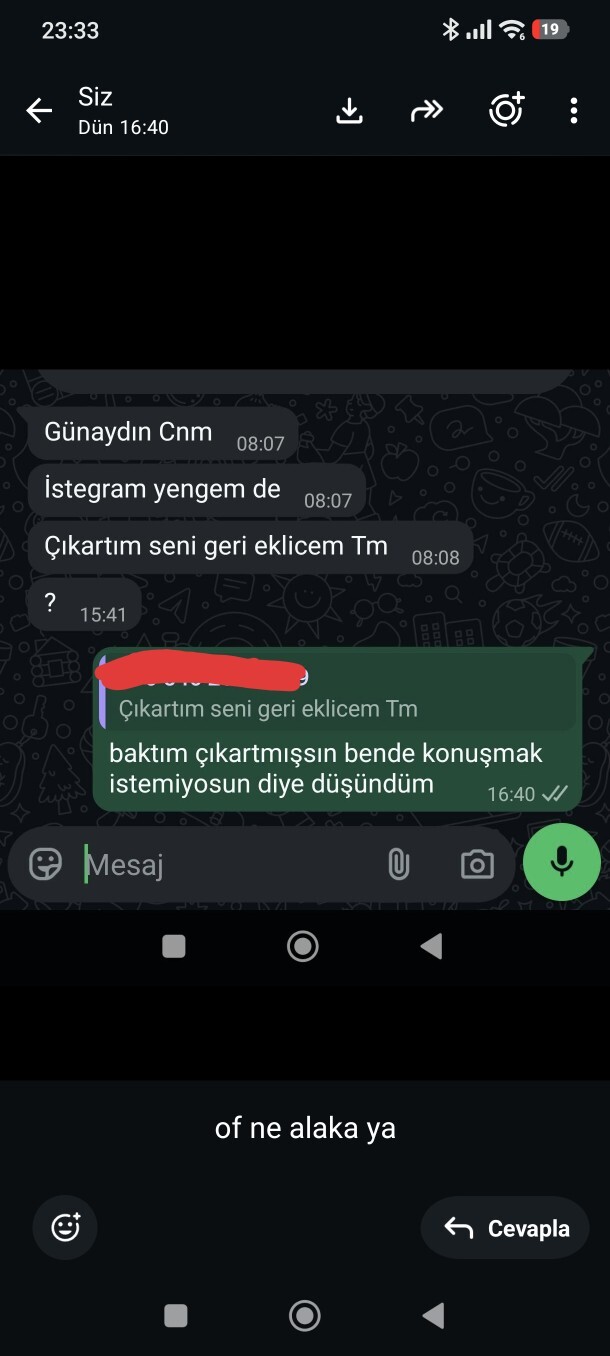Ne alaka ya sizce inanmalı mıyım?