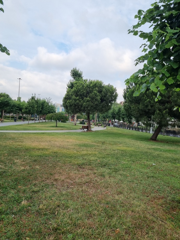 Güzel bir güne merhaba diyelim mi?