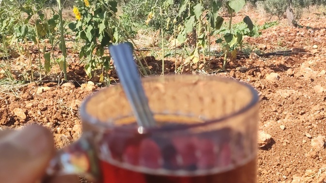 Demli kahve mi demli çay mı?