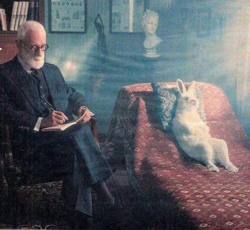 Aklımız bizi gerçeğe mi götürür, yoksa inandığımız şeyleri savunmak için mi çalışır?
