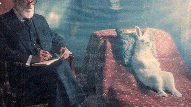 Aklımız bizi gerçeğe mi götürür, yoksa inandığımız şeyleri savunmak için mi çalışır?