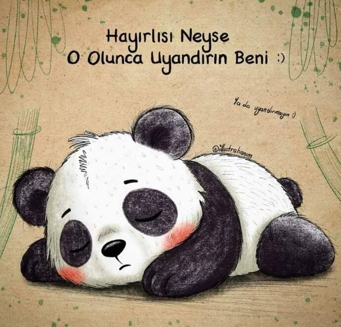 Uykusunun geldiğini nasıl anlar insan 🥱🥱😴?