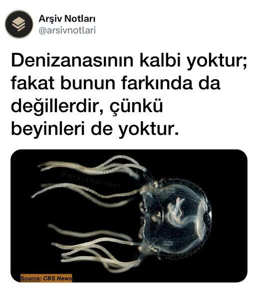 Erkeklerin kalbi var mıdır?