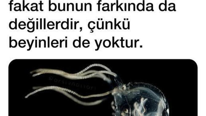 Erkeklerin kalbi var mıdır?