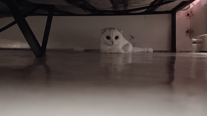 Nasıl çıkaracam bunu burdan?