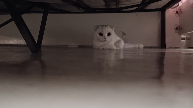 Nasıl çıkaracam bunu burdan?