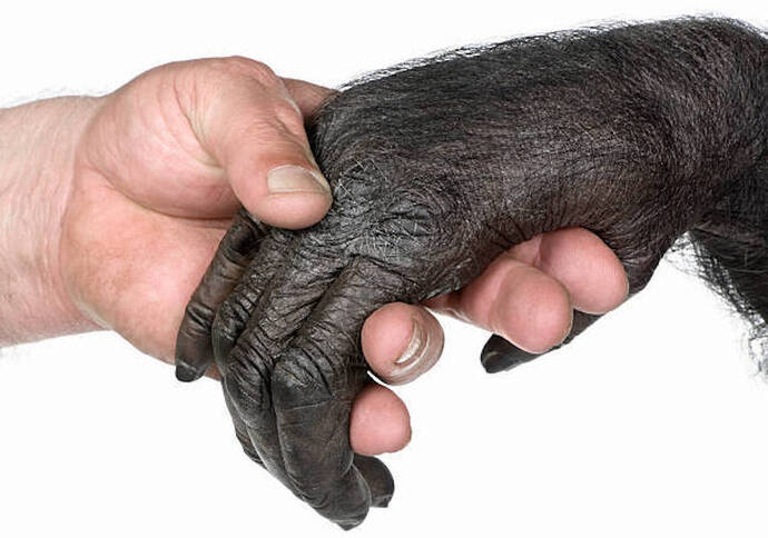 Erkeğin eli çirkin geliyorsa ondan soğumam normal mi, çok mu yüzeyselim?
