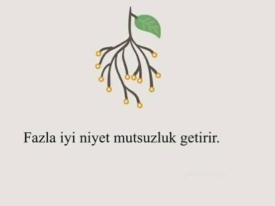 Fazla iyi niyet, saflık değil midir?