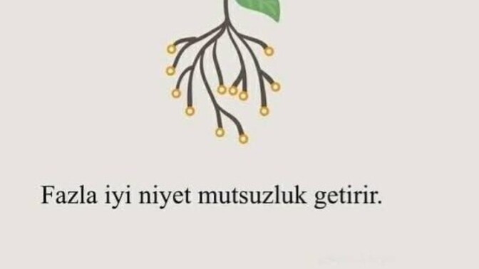 Fazla iyi niyet, saflık değil midir?