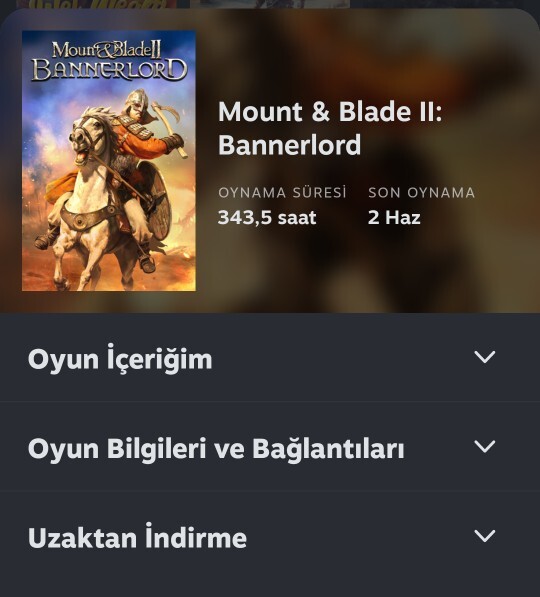 Bir oyunda en fazla kaç saat geçirirsiniz?