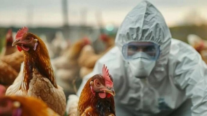Kuş gribi yaşadınız mı?
