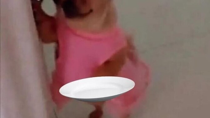 Aç karnı güzel söz doyurur mu?