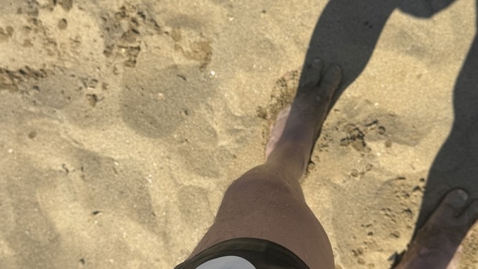 Bu yıl tatil planınız var mı?