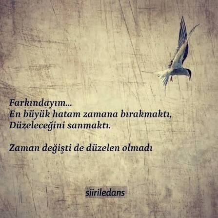 Sizce insanlar gerçekten değişir mi, yoksa sadece değişmiş gibi mi davranır?